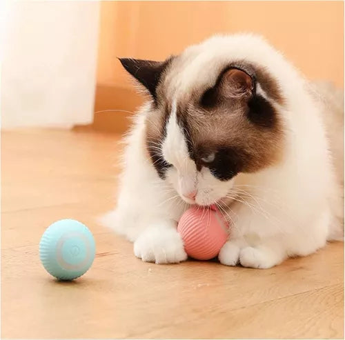 Pelota Rodante Juguete Mascotas Recargable